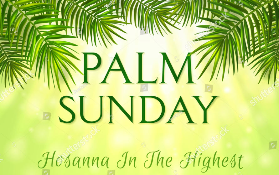 Against the Current : Father Tom Oddo and the New American Catholic